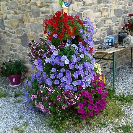 Мини-отель Maria's Sonnenquartier *